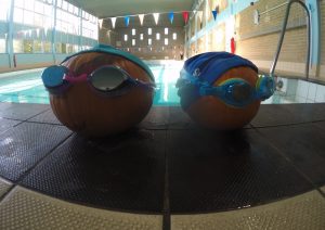 Penny Pumpkin and Gertude Gourd